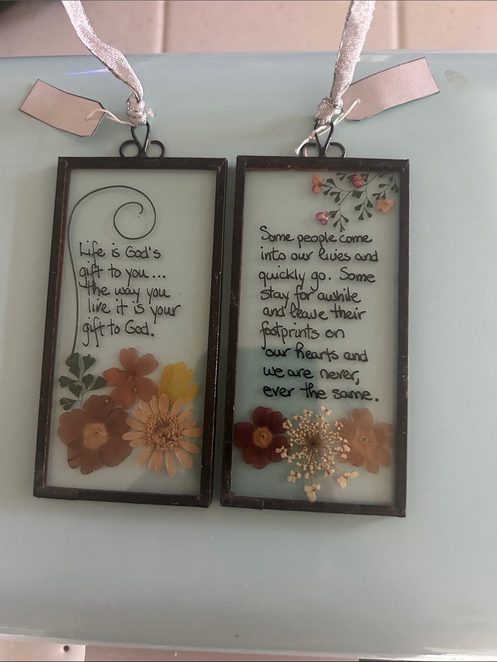 2 each Floral Sentiment Glass Panel Wall Decor - Brown and Cream